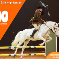 La Méthode Bolino - Spectacle équestre technique… et résolument drôle !