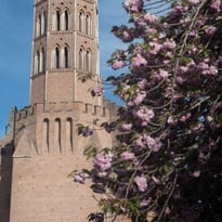 Visite libre de la cathédrale de Pamiers