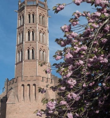 Visite libre de la cathédrale de Pamiers