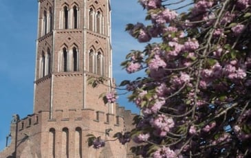 Visite libre de la cathédrale de Pamiers