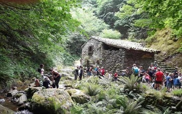 Visite guidée du moulin de la Laurède