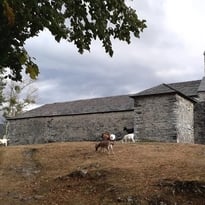 Visite commentée : à la découverte de la chapelle Notre-Dame-du-Calvaire