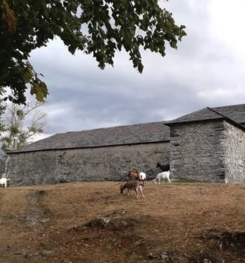 Visite commentée : à la découverte de la chapelle Notre-Dame-du-Calvaire