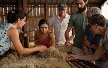 Ateliers, table ronde et visites de la coopérative Laines Paysannes