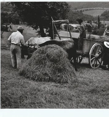 Exposition : Roquefixade en noir et blanc