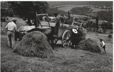 Exposition : Roquefixade en noir et blanc