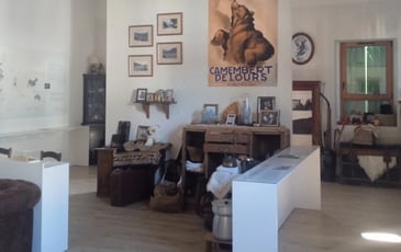 Sur les traces des montreurs d'ours