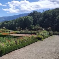 Visite commentée : l'abbaye Notre-Dame du Pesquié