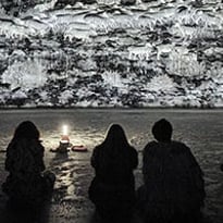 Manières d’être vivant