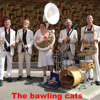 The Bawling Cats