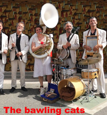The Bawling Cats